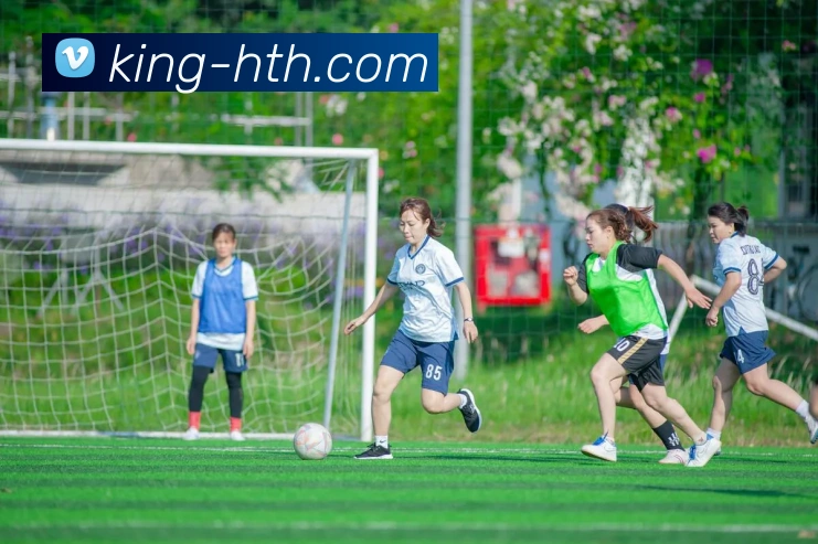 hth体育服务体系